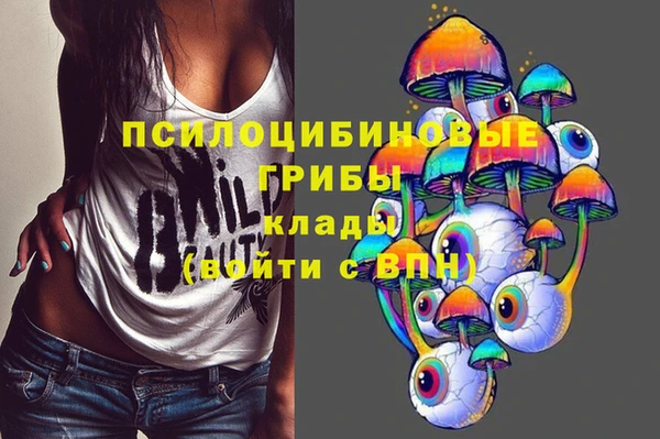 гашик Аркадак