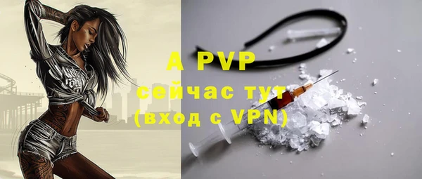 гашик Аркадак