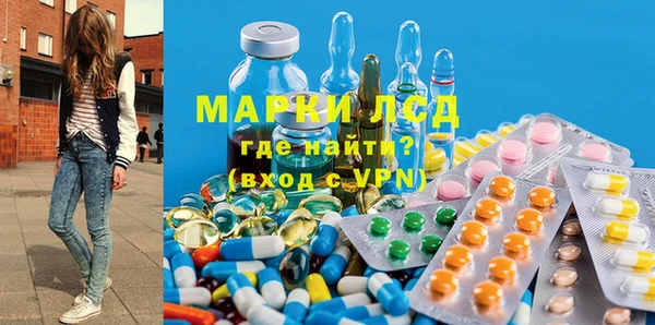 гашик Аркадак