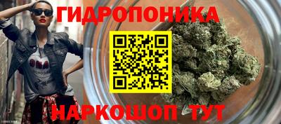 эйфоретик Гусь-Хрустальный