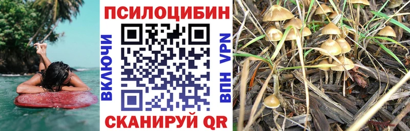 Галлюциногенные грибы мухоморы Сибай